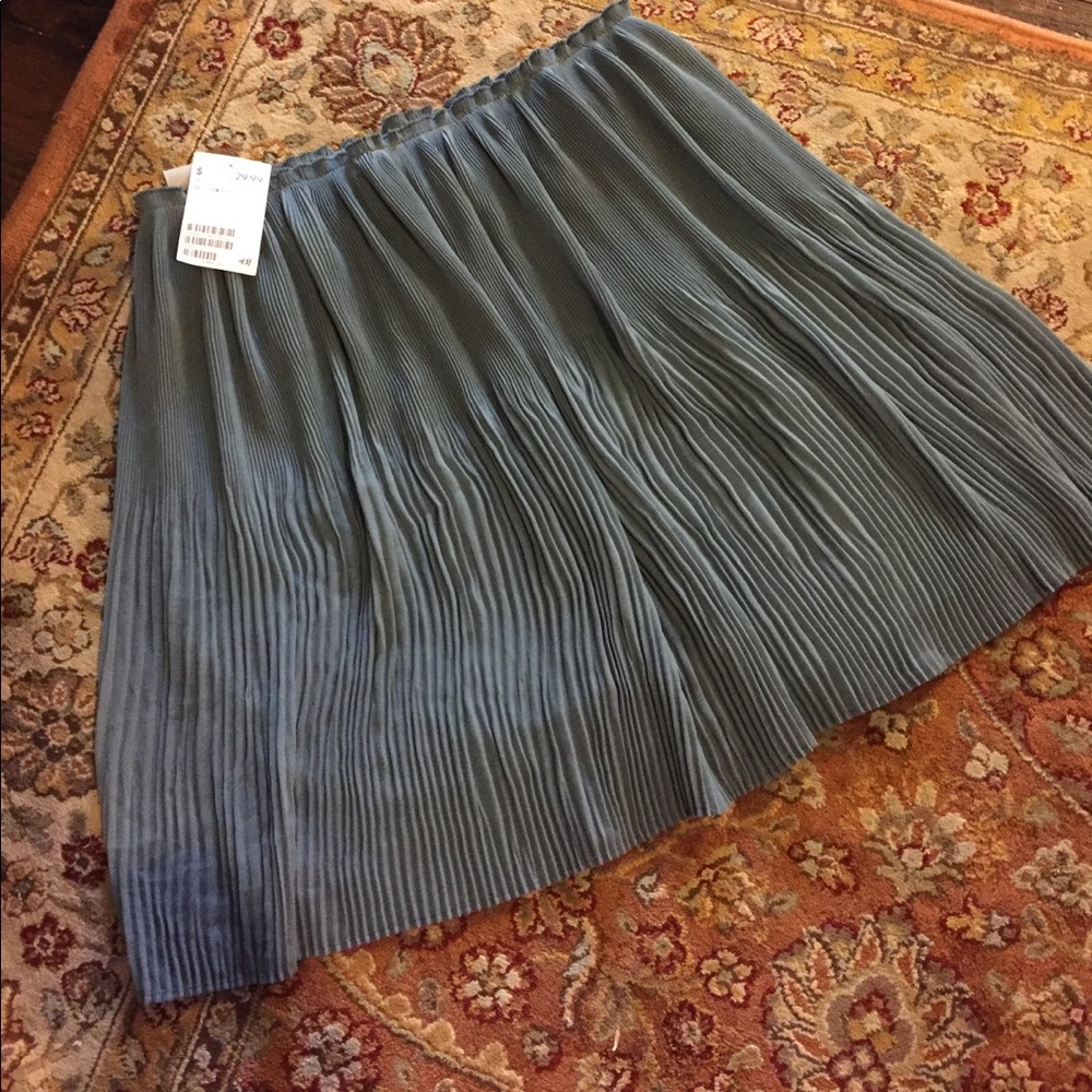 H&M pleated skirt
